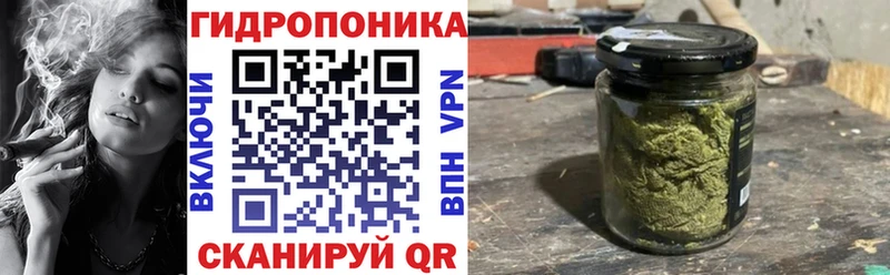 Канабис индика Гвардейск